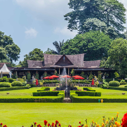 Bogor Safari Adventure and Botanical Garden Tour